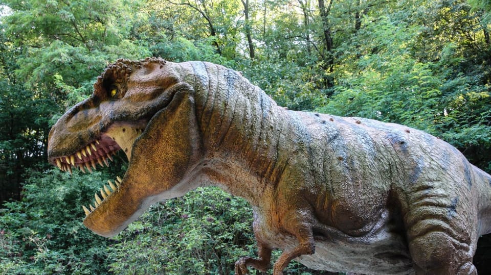 Čumák tyranosaura byl mohutný, leč citlivý.
